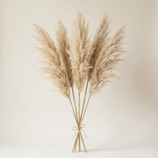 Pampas Grass Stems