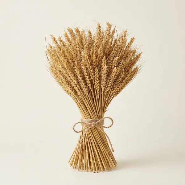 Dried Wheat Sheaf