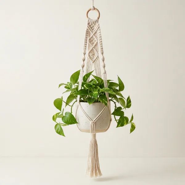 Macrame Hanging Pot